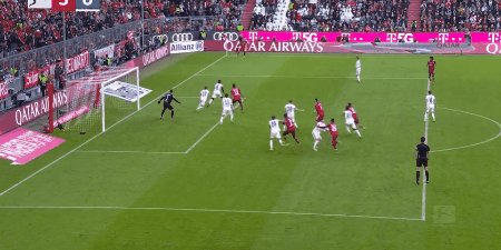 bay hof 7.gif